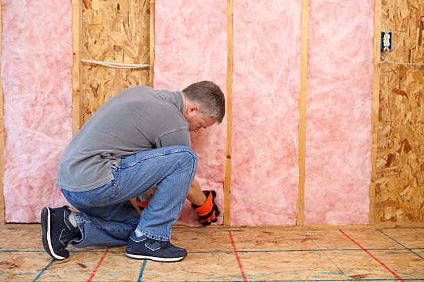 Best Insulation Maintenance and Repair in Roseto, PA