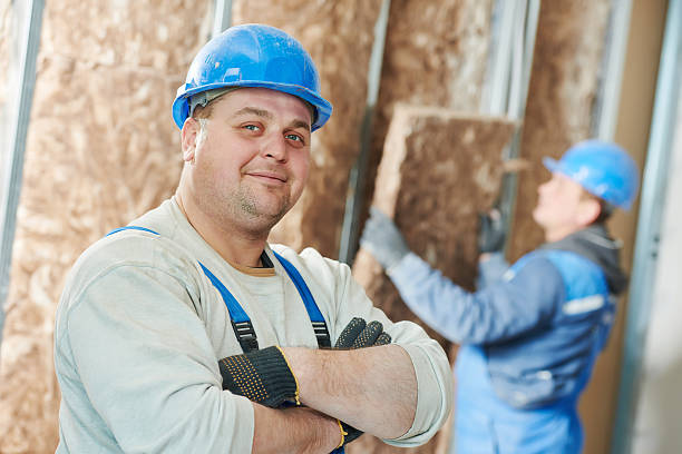 Best Commercial Insulation in Roseto, PA